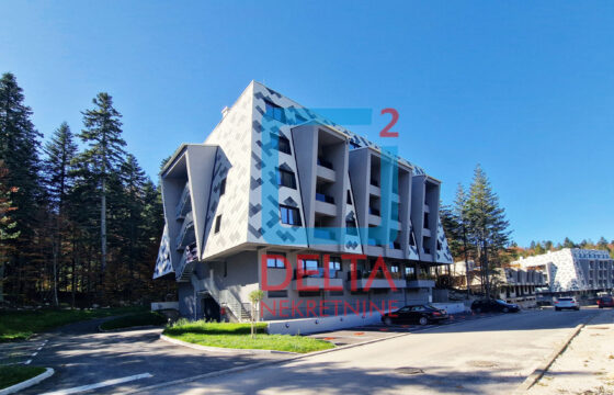 Dvosoban apartman sa balkonom / Bjelašnica